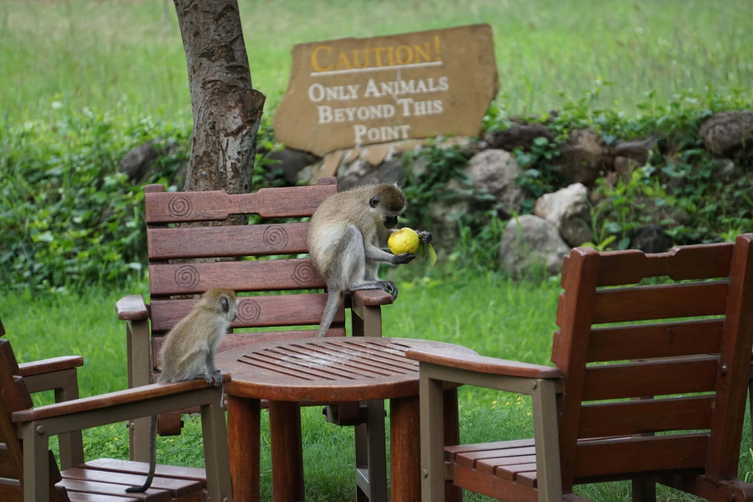 Participate NatureBased Tourism